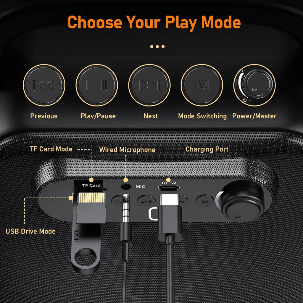 JYX D50 Karaoke Machine For Adult&Bluetooth Speaker With Microphone