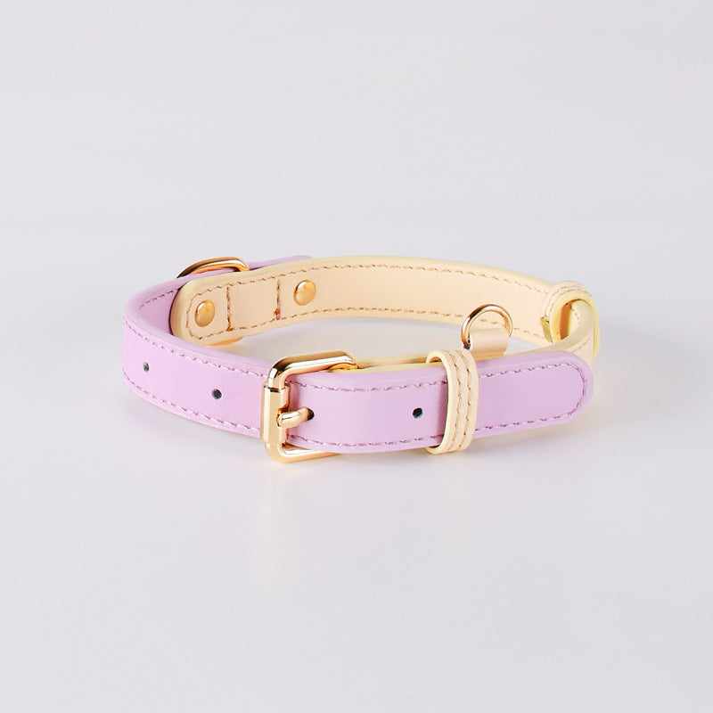 2-Tone Leather Dog Collar – Adjustable & Stylish Pet Walking Accessories